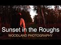 Holme Fen Project Part 2 : Sunset in the Roughs : Woodland Photography