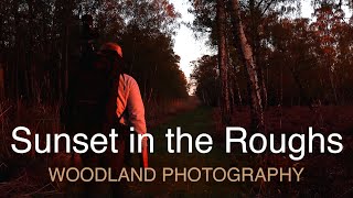 Holme Fen Project Part 2 : Sunset in the Roughs : Woodland Photography
