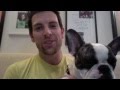 Chris Mann & Gus the Frenchie thank MANNfans