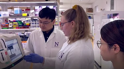 Lu Wang's Lab: Studying Epigenetics in Cancer - DayDayNews