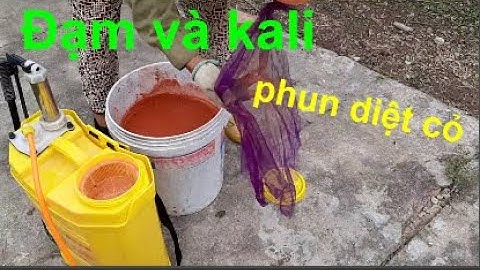 Diệt cỏ bằng Đạm và kali .Hiệu quả cao cho cây bưởi.