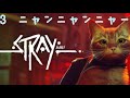 #3 Stray にゃんにゃんにゃん配信!