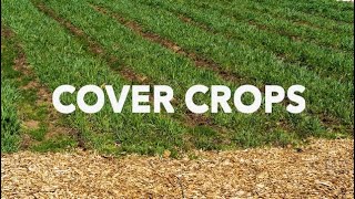 How Not to Cover Crop