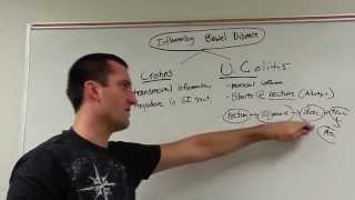 Inflammatory Bowel Disease (IBD): Crohn's and U.C.