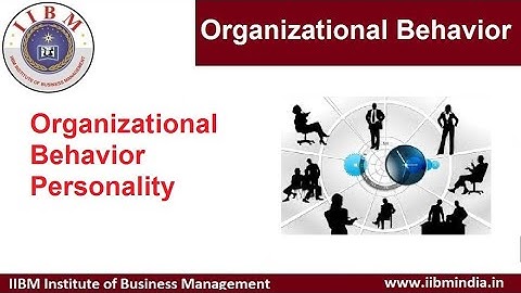 IIBM Institute | Organizational Behavior | Personality