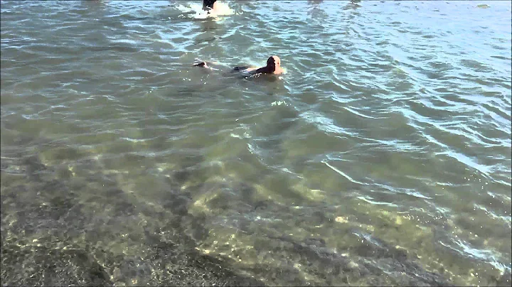 Ventnor City Polar Bear Plunge 2015