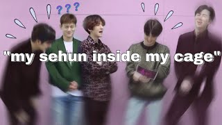 wild things EXO say during interviews