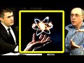 Why does the universe exist  stephen wolfram and lex fridman