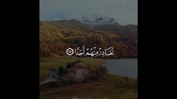 المالُ وَالبَنونَ زينَةُ الحَياةِ الدُّنيا ۖ  ...... / سورة الكهف للقارئ إدريس علي
