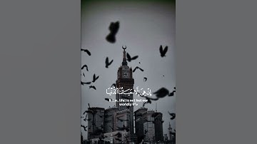 سورة المؤمنون {الآية 34} بصوت الشيخ ياسر الدوسري ❤️💖