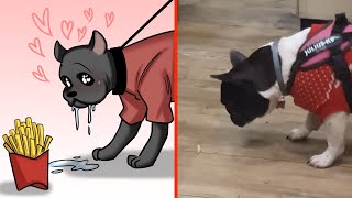 The FUNNIEST Dog Videos of 2024! 🤣 BEST Compilation by Cat Memes 12,162 views 1 month ago 10 minutes, 17 seconds