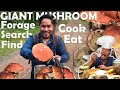 SEARCH, COOK and EAT!!! GIANT MUSHROOM FORAGING!!! PICKING MUSHROOMS!!! FINDING MUSHROOM!!!