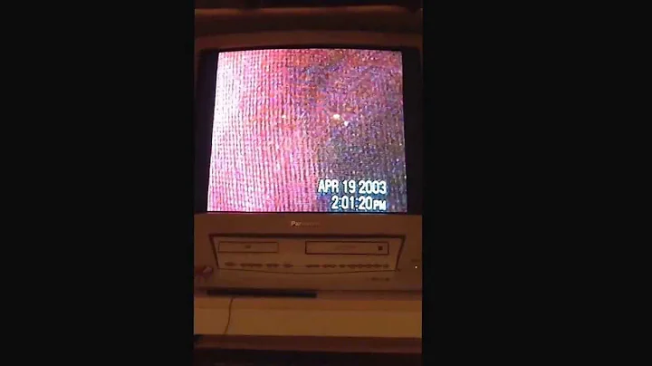 Amiericas funniest home videos by Reese