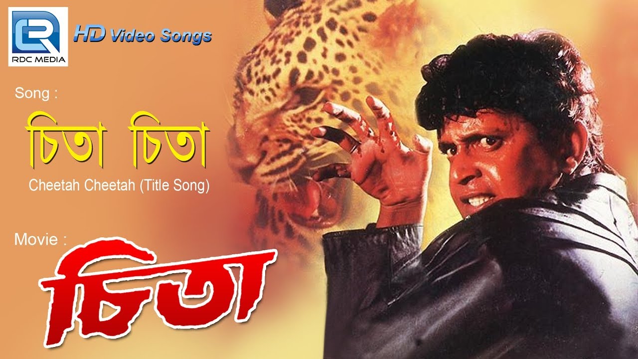 Mithun cheetah boy