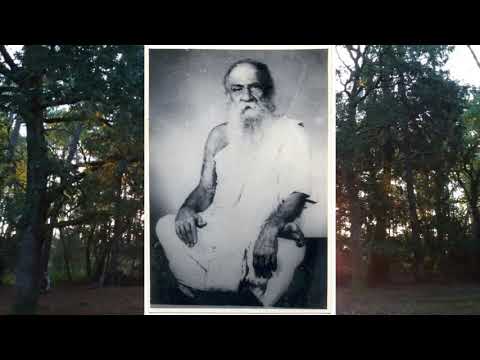 maharishi sama veda maharishi sama veda