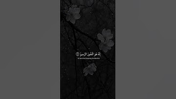 قَالَ رَبِّ إِنِّي ظَلَمْتُ نَفْسِي | محمد صديق المنشاوي | سورة القصص