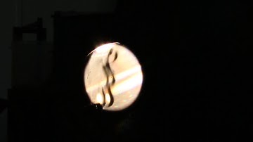 MAE 4273: Schlieren Video of Gas Lighter