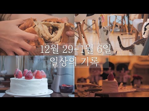 #4 일상의 기록 vlog 브이로그 [스윗더미 . Sweet The MI]