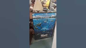 21 Years of Finding Nemo