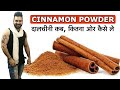 Amazing benefits of CINNAMON POWDER. दालचीनी के फ़ायदे