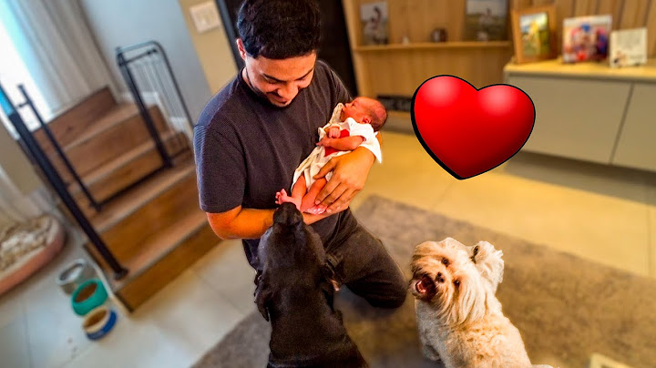 APRESENTANDO A MARIAH PRO ZEUS E PRA MAGGIE❤