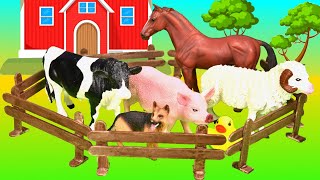 NEW Farm Animals and Sea Animal - Educational Sorting For Kids and Toddlers