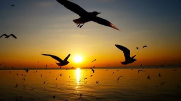 Silence Isn’t Empty… It’s Full of Answers