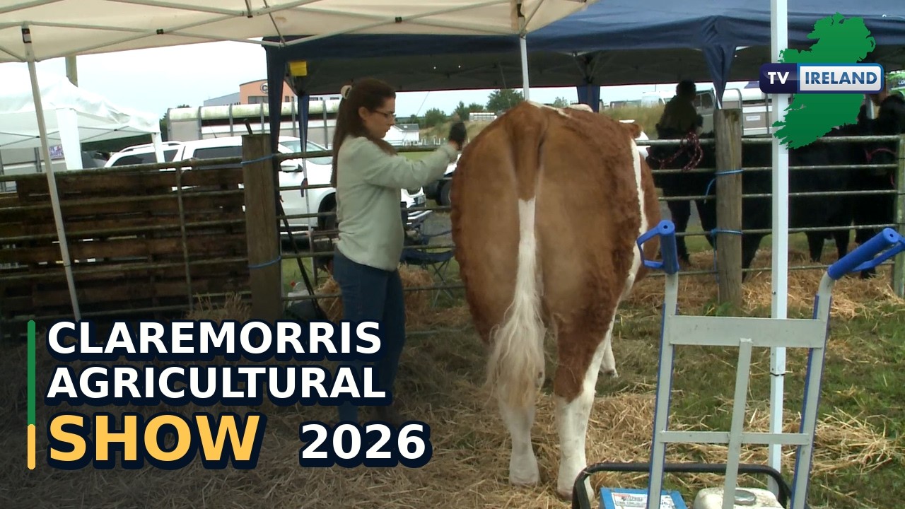 Come along with us to the 106th Claremorris Agricultural Show in County Mayo!

We spent the day meeting people, capturing the action and enjoying the atmosphere at one of Mayo’s favourite August Bank Holiday events. From the show rings and exhibits to the people who make it all happen, it’s a celebration of farming and community life in Claremorris.

A big thank you to the organisers, volunteers, exhibitors and everyone who stopped to chat with us.

If you enjoyed the video, give it a like and subscribe for more stories from around Ireland.

#ClaremorrisShow #Claremorris #Mayo #AgriculturalShow #TVIreland