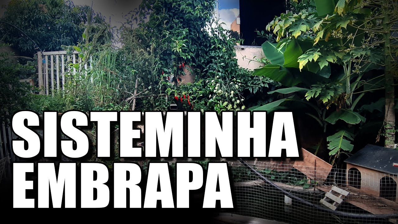 SISTEMINHA EMBRAPA | O QUE VOCÊ PRECISA SABER!