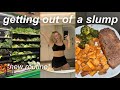 Daily Vlog | New Routine💪 | Living Alone Diaries
