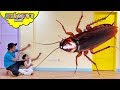 Giant cockroach attack skyheart toys big insects for kids ipis ant 