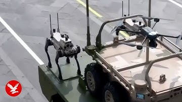 China unleashes robotic 