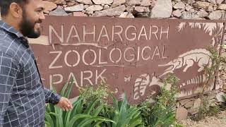 nahargarh biological park Jaipur Rajasthan ️