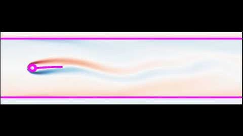 IB2d Simulation: Large Deformation Turek-Hron (vorticity)