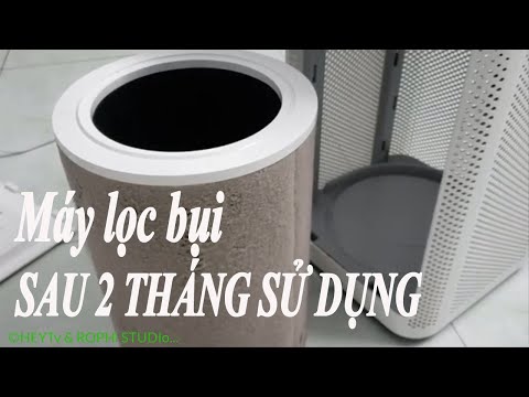 "SỰ THẬT" Máy lọc không khí ( lọc bụi ) sau 2 tháng sử dụng, màn lọc ra như thế này - Lớp dày mịn