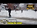 Chaos & fun after HUGE Toronto dump of snow! Walking tour through Annex Neighbourhood (4k60)