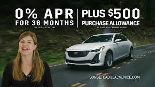 Arrive in Luxury in the New Year at Sunset Cadillac Venice
