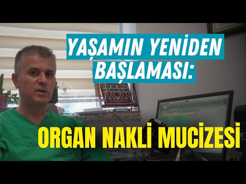 Yaşamın yeniden başlaması: Organ nakli mucizesi