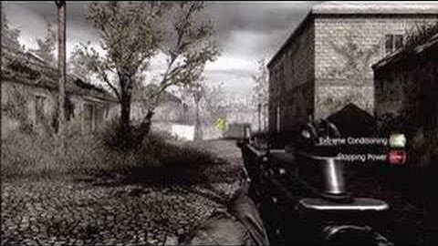 Call of Duty 4 Interview