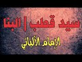 سيد قطب حسن البنا أسئلة مهمة ي جيب عليها الإمام الألباني 