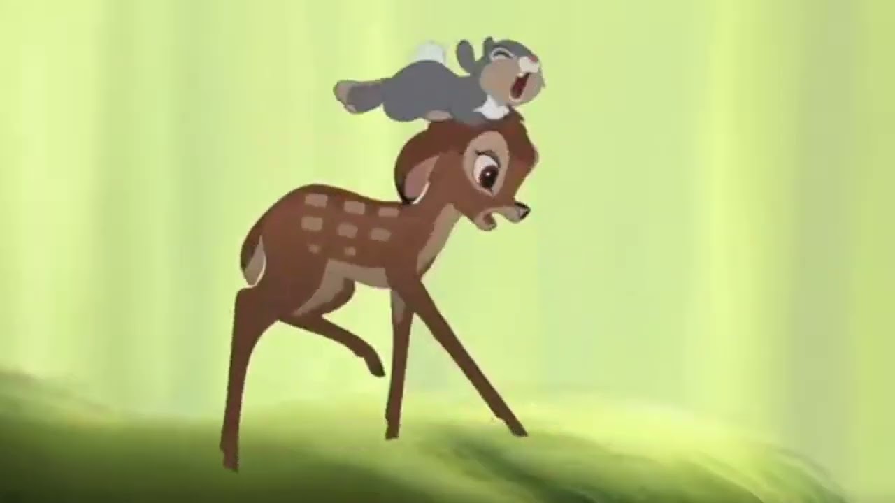 Thumper - Turn around! Turn around! (READ DESCRIPTION)