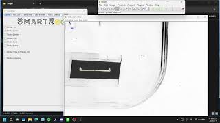 [JOE]ImageJ-Smart root快速量根長度
