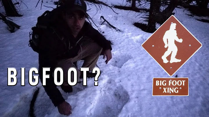 My Encounter with a Sasquatch on Pikes Peak, Color...