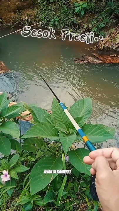 Sesok prei ayo mancing😁 #libur #funny #mancing #uceng #fishing #shortvideos #lucu #ngakak