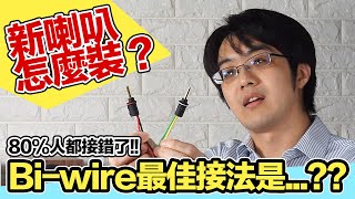 80%的人都錯了！新喇叭有Bi-wire怎麼裝最好？正確方法+觀念教學