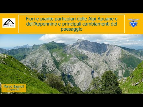 Video: Piante delle Montagne Rocciose del Nord – Coltivazione di piante autoctone negli Stati centro-settentrionali occidentali