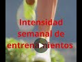 Intensidad semanal de entrenamientos