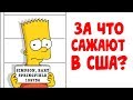 За что сажают в США? #175 Видео дневник эмигранта