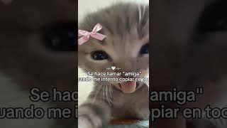se ace llamar amiga cuando me intento copiar en todo