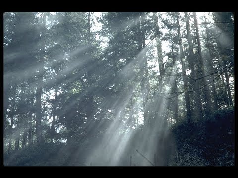 veni-creator-spiritus---robert-lebel